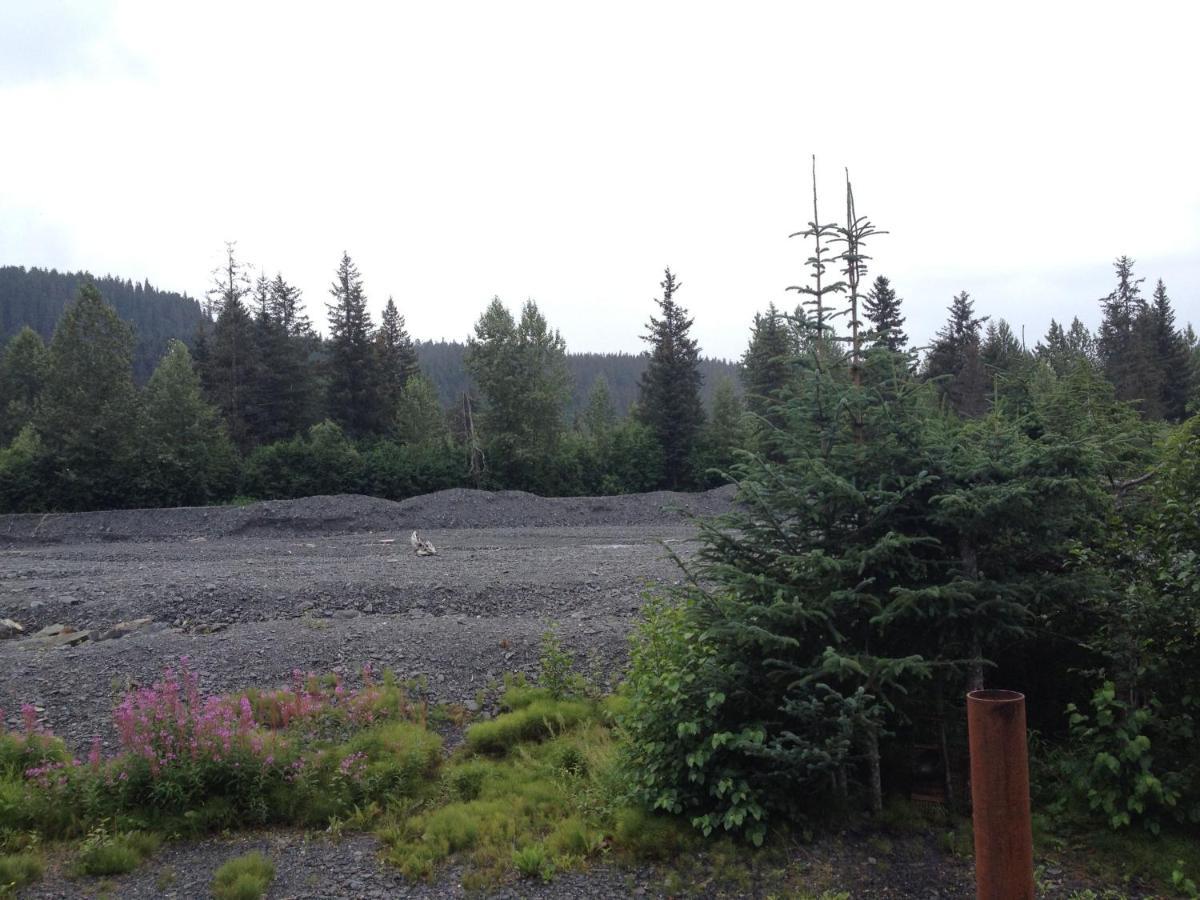 Glacier Creek Cabins Seward Quarto foto